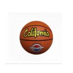FAYDI PELOTA DE BASQUET N5