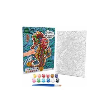 DITOYS Color By Number